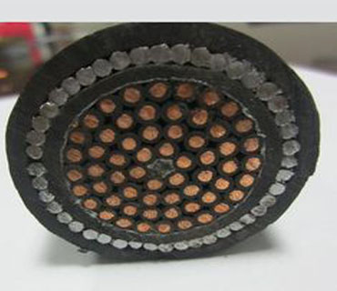 Leading Cables & Wires Manufacturer and Supplier In Delhi, India